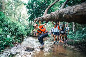 BIB: 
                            <button type="button" onclick="openModal(25372155)" class="btn btn-primary btn-sm float-right btn-popup" data-toggle="modal" data-target=".modal-high-quality">
                        <i class="fas fa-shopping-cart"></i> Add to Cart
                    </button>
                                            <button type="button" onclick="isThisMe(25372155, true)" class="btn btn-success btn-sm float-right btn-popup btn-isme hidden" data-toggle="tooltip" data-placement="bottom" title="นี่คือรูปของคุณใช่ไหม คลิกที่นี่เพื่อเอาเข้าอัลบั้ม">
                        <i class="fas fa-plus"></i> Add to album
                    </button>
                    <button type="button" onclick="isThisMe(25372155, false)" class="btn btn-warning btn-sm float-right btn-popup btn-isnotme hidden">
                        <i class="fas fa-ban"></i> Remove from album
                    </button>